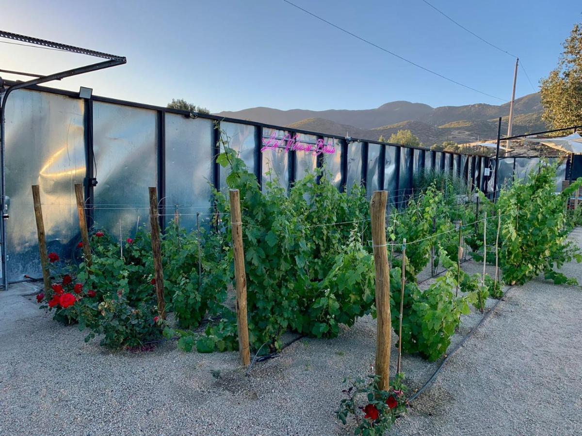 La Finca De Vane Valle de Guadalupe Exterior foto