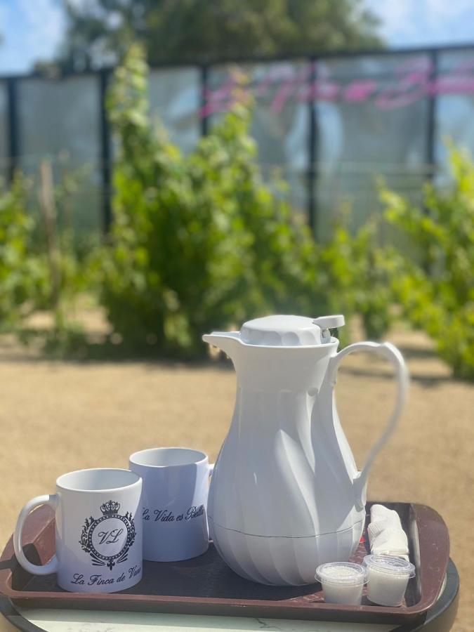 La Finca De Vane Valle de Guadalupe Exterior foto